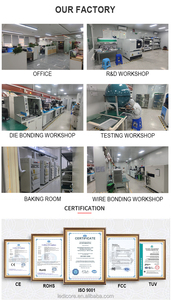 Venta Especial: Chip <span class=keywords><strong>LED</strong></span> <span class=keywords><strong>COB</strong></span> Bicolor Rojo y Verde de <span class=keywords><strong>200W</strong></span>+<span class=keywords><strong>200W</strong></span> 300W+300W 6060, 2650K-7500K, 97 CRI, Iluminación para Video y Fotografía - Product Image 6