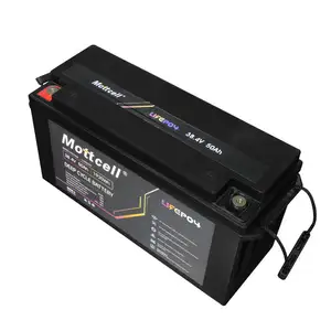 Lifepo4 38.4V Energieopslag Batterij 50ah 100ah Fosfaat Lithium Ijzer Met Lifepo4 Trolley Auto 'S Batterij