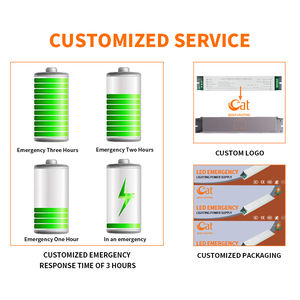 L'OEM di tendenza ha condotto la personalizzazione della fabbrica del Driver di emergenza per le fabbriche e i luoghi pubblici delle scuole leggere 5-20W - Product Image 4