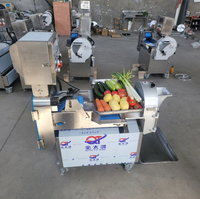 Máquina Procesadora de Alimentos con Doble Cabezal Desmontable y Motor Automático para Cortar y Triturar Verduras, Frutas y Patatas - Suministro Directo