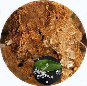 Sản Xuất Polymer Siêu Thấm (Nhựa Cây) Số Lượng Lớn - Product Image 5