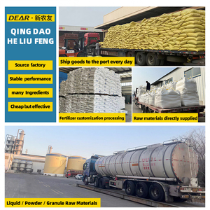 Fertilizante <span class=keywords><strong>Líquido</strong></span> Nutritivo Orgánico <span class=keywords><strong>para</strong></span> Orquídeas, Promueve la Floración, Mejora la Actividad del Suelo, Cuidado de Orquídeas <span class=keywords><strong>en</strong></span> Maceta - Product Image 5