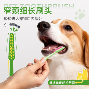 Cepillo de dientes Pedex para mascotas, cerdas suaves para el cuidado bucal de gatos y perros - Product Image 3