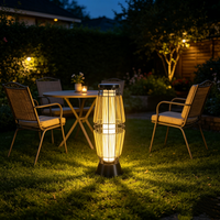 Lampes solaires décoratives pour allées de jardin, étanches, à LED, alimentées par l'énergie solaire, pour pelouse, patio, cour, aménagement paysager