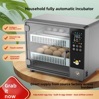 Incubateur intelligent automatique personnalisé à température constante pour usage domestique, modèle JY-24, pour animaux