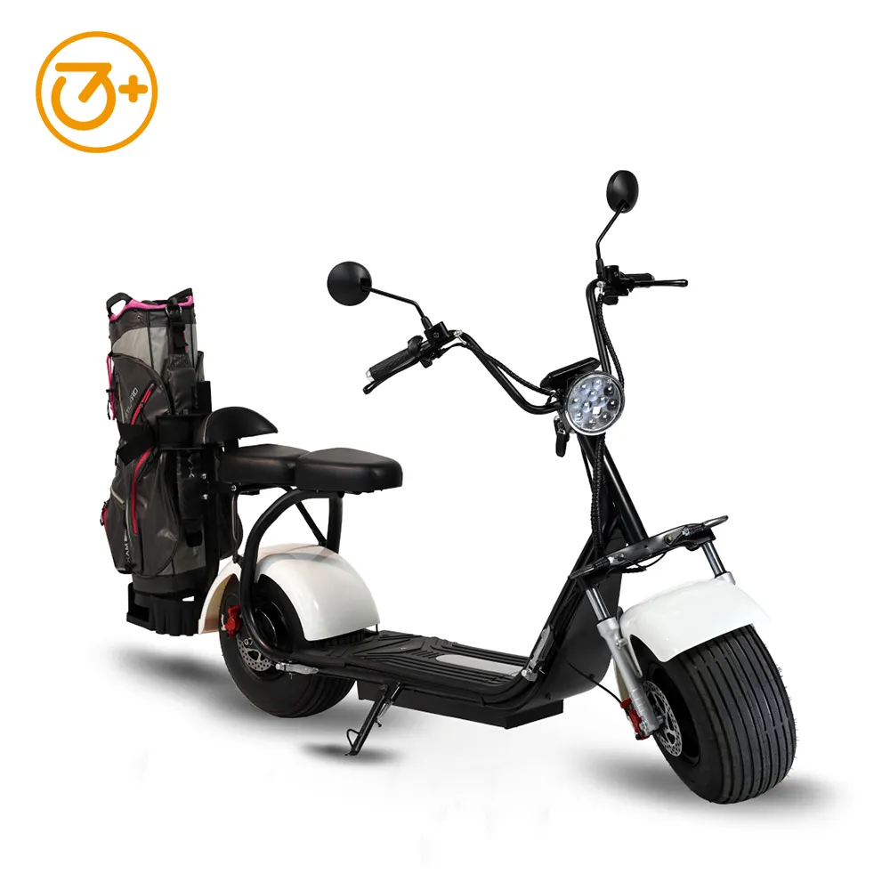 Top vente Citycoco Scooters électriques terrain de golf pour adultes 2000W moteur électrique sans balais