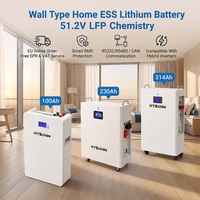 Batterie lithium domestique Hysonn murale ESS 51,2 V à chimie LFP avec BMS intelligent LCD pour la sauvegarde photovoltaïque et les projets de vente en gros OEM