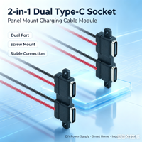 Connecteur de charge double port Type-C LN-01, double prise USB-C, deux connecteurs DC à 2 broches avec oreilles de fixation et câbles
