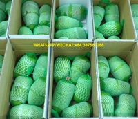 Vietnamese verse zuurzakvruchten, KME merk, ISO gecertificeerd, hoge exportkwaliteit, bulk & vacuüm verpakt, groothandelsdistributie