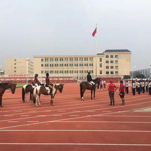 INOLP Suelo Deportivo Prefabricado Pista de Correr y Pista de Pista Fabricantes - Product Image 2