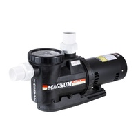 Pompe à eau de haute qualité Magnum Jacuzzi Series 1,5 ch avec filtre, excellentes performances pour les piscines commerciales et résidentielles