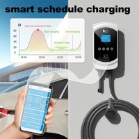 Stasiun Pengisian Daya Mobil Listrik Feyree 7kW NACS untuk Penggunaan di Rumah, Dudukan Charger EV 32A AC dengan Kartu RFID