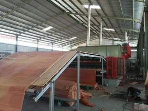 Séchoir à placage en contreplaqué à 10 sections pour machines à placage, fabriqué au Laos par un fabricant avec une expérience de plusieurs années - Product Image 2