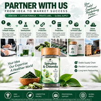 Capsules de Spiruline et Chlorelle 2300mg, Complexe Super Greens 9-en-1, Sans OGM, Capsules Végétales, 120 Comprimés, Complément Alimentaire Quotidien de Légumes Verts