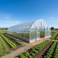 Serre commerciale à grande portée en film plastique avec structure en acier galvanisé stabilisé aux UV pour la culture de légumes et de fleurs