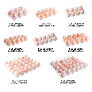 Tùy chỉnh kích thước trong suốt rõ ràng vỏ sò dùng một lần chim cút trứng carton Pet nhựa bao bì gà khay trứng - Product Image 2