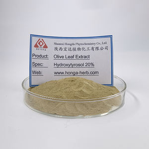 Saf hidroksitirosol zeytin yaprağı özü <span class=keywords><strong>Oleuropein</strong></span> tozu zeytin yaprağı özü - Product Image 3