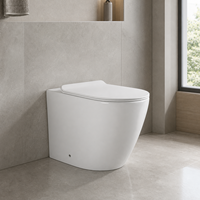 Cuvette de toilette de luxe moderne haut de gamme - Siège de toilette et articles sanitaires de qualité supérieure pour villa de luxe, articles sanitaires robustes pour appartement