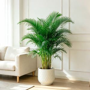 Grand couvercle de <span class=keywords><strong>pot</strong></span> de fleurs sur pied pour plantes en terreau, résistant aux chocs, en PE épaissi, design minimaliste de style européen - Product Image 2