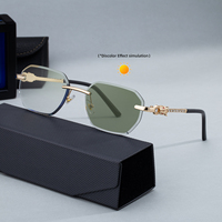 Lunettes de soleil photochromiques anti-lumière bleue sans monture avec logo personnalisé Partagas Fashion Designer, tête de léopard, UV400, pour hommes
