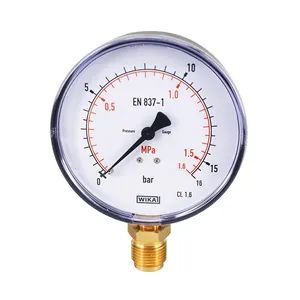 All Stainless Steel Pressure Gauge 111.10 Instrument Instrument Gauge Pressure Sensor