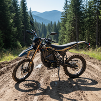 Vente en gros de motos électriques tout-terrain Surron Ultra Bee 2026, nouveau design, 74V 24.5KW, grande puissance, homologuées pour la route
