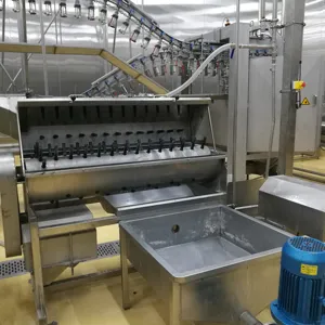 Soluzione chiavi in mano pollame pollo polli da carne anatra macelleria macellazione kill machine impianto di lavorazione linea di sistema per macello