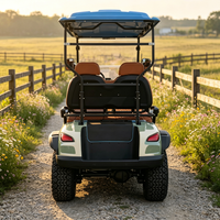Voiture de golf électrique professionnelle personnalisée Rainbow 4 places, 48V, alimentée au lithium, tout-terrain, 30-50 km/h, 70-90 km d'autonomie