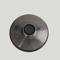 Unité de pilote de haut-parleur Diafragma de compression en titane bleu 44.4mm 8 Ohms