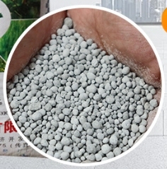 Engrais granulaire à libération lente de phosphate de <span class=keywords><strong>guano</strong></span> (fèces d'oiseaux marins) pour la croissance et la floraison des plantes - Product Image 4