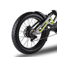 Vente en gros, nouveauté, cadre en alliage d'aluminium 1200W, 52V, 20Ah, vélo tout-terrain électrique à gros pneus de 24 pouces, VTT électrique avec 80km de vitesse, 55 km/h