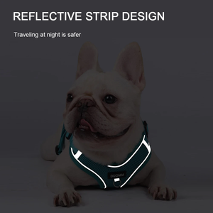 Ensemble harnais et laisse pour petits chiens – Harnais anti-traction pour bouledogue français, chiot, pug, Boston Terrier – Poitrail rembourré doux - Product Image 4
