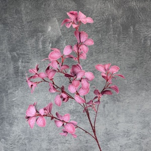 Foglie di Magnolia in Seta a 5 Rami, Stelo Singolo Colorato, Fogliame Artificiale per Decorazioni Matrimoniali e Domestiche, per San Valentino e Pasqua, Vendita all'Ingrosso - Product Image 2