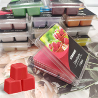 Perfecte Kerstgeuren Essentiële Oliën Kaneel Wax Melts Vanille Pijnboom Pepermunt Geurende Waxblokjes voor Geur