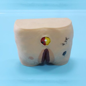 Maniquí de Enfermería para Personas Mayores Chinon BIX-H10, Modelo de Úlceras por Presión en PVC para Entrenamiento en el Cuidado de Úlceras por Presión en Hospitales y Escuelas - Product Image 4