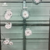 Fabricant de feuilles de verre ambré, prix du verre blindé, verre blindé pour constructions