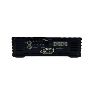 Amplificateurs de <span class=keywords><strong>voiture</strong></span> monobloc YIYELANG classe D 5000W 1ohm <span class=keywords><strong>amplificateur</strong></span> automatique de <span class=keywords><strong>voiture</strong></span> à canal unique - Product Image 2