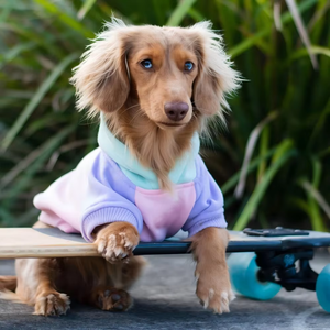 Hoodie Kain Fleece Anjing Dachshund Weiner Sausage Berkualitas Grosir untuk Natal - Product Image 5