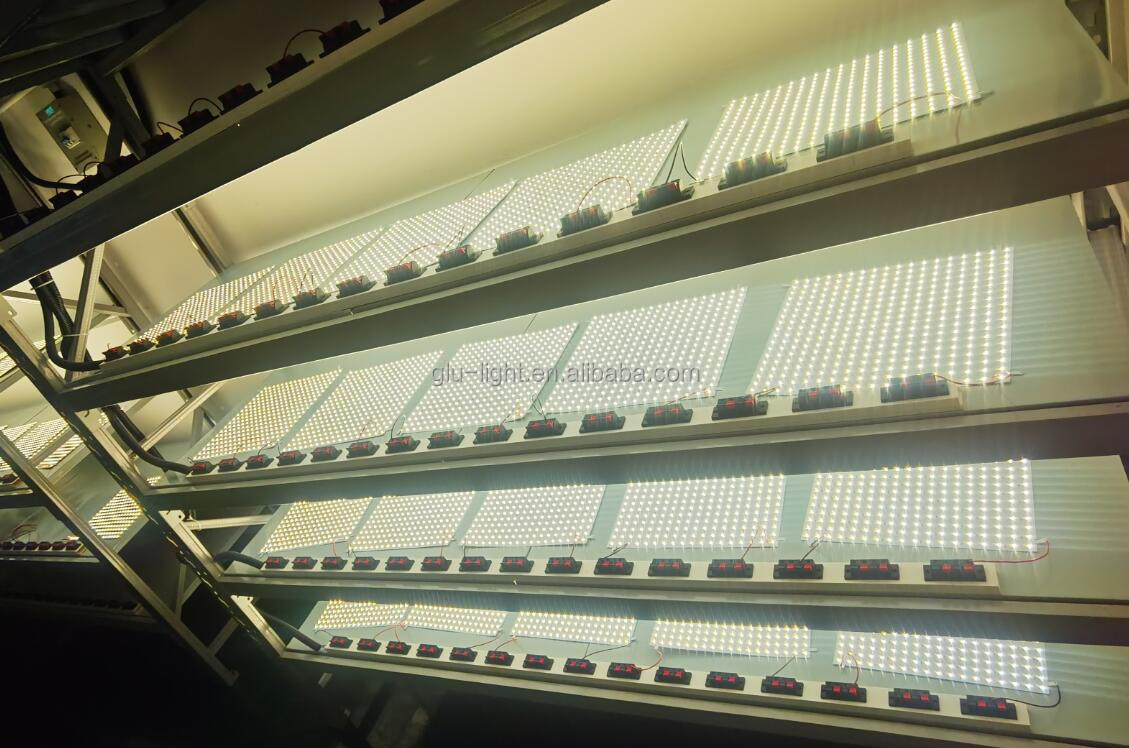 24V high power high CRI 2835 RGBACCT bi color 6 colors RGBABI chroma led panel