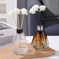 Diffuseur à roseaux en verre transparent avec bouchon, pour aromathérapie, ornement de salon et chambre, purification de l'air