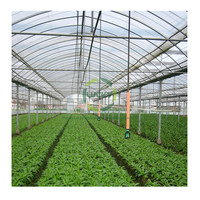 Systèmes de culture hydroponiques Poly Green House fabriqués par Smart solaire passif chinois vente de serre de tunnel en plastique