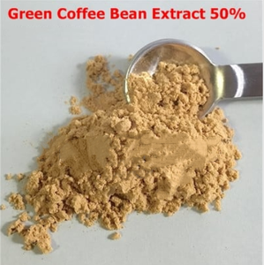 Extracto de Granos de Café Verde Orgánico en Polvo, 50% de Ácido Clorogénico, Venta Caliente - Product Image 3