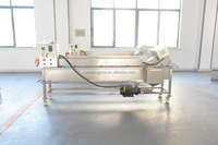 Nouvelle ligne de production entièrement automatique de frites de pommes de terre en acier inoxydable 304 / Machine à faire des frites / Frites surgelées