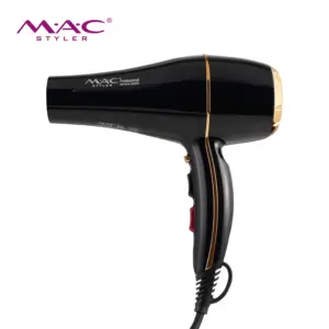 Yüksek güç AC Motor saç kurutma makinesi moda 2600W yüksek hızlı düşük gürültü tasarım tüm saç bakımı Salon saç kurutma makinesi için