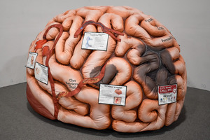 Lo stile personalizzato del modello di organo umano gonfiabile su misura gigante è conveniente per attirare la pubblicità dell'attività di traffico - Product Image 3