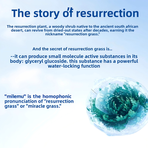 Crema Contorno Occhi Milemu Roll-on, Unguento per Massaggio sui Punti di Agopuntura Intorno all'Area Oculare, il Mentolo Rinfresca la Mente - Product Image 4