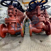 Válvula de Compuerta de Acero Inoxidable para Tuberías Industriales, Agua Ultrapura, Volante Manual, Patrón Oblicuo