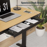 Ergonomischer Elektrischer Stehschreibtisch für das Home Office, Höhenverstellbar, Konvertierbares Design mit Schublade und Ladeanschlüssen, Moderner Sitz-Steh-Schreibtisch