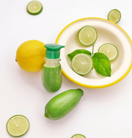 Presse-agrumes manuel portable MIXWARES, presse-citron en spirale, presse-fruits, presse-orange avec filtre, distributeur de jus domestique
