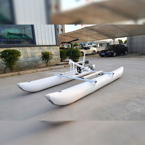 Pédale de Sports aquatiques à pédales, vélo pour parc aquatique, <span class=keywords><strong>prix</strong></span> d'usine - Product Image 4